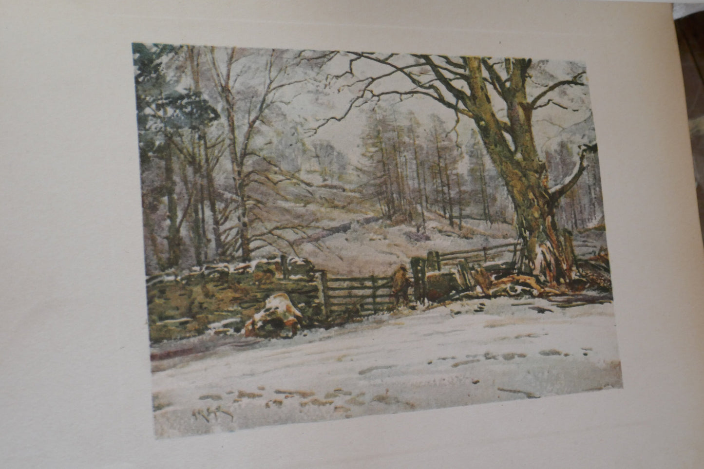 Rare Antique Limited edition 1932 signed copy - Lake Counties - Lake District Book - Vintage Nature Book - Vintage Book on England - Nature
