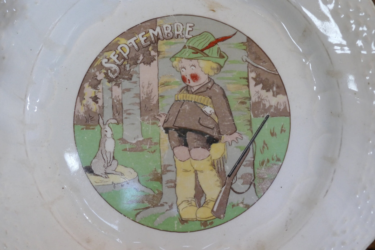 Antique Ironstone French Plate - Decorative Plate -French Ironstone Plate - Antique French Plate - Ironstone Transferware - French Decor