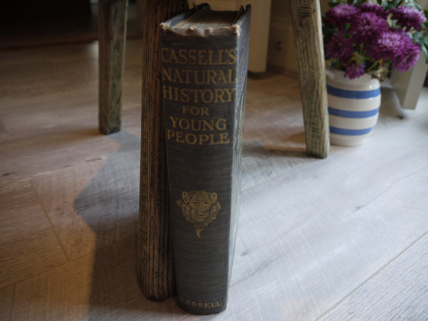 Very Rare Antique Nature Book -  1909 Edition Animal Book - Nature Book - Vintage Nature Book - Coffee table book - Antique Nature Book