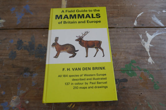 Vintage Nature Book - Animal Book - Vintage Animal book - Coffee table books - Nature Guides - English nature books - Bird Spotting Guide