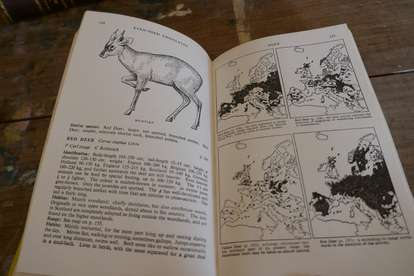 Vintage Nature Book - Animal Book - Vintage Animal book - Coffee table books - Nature Guides - English nature books - Bird Spotting Guide