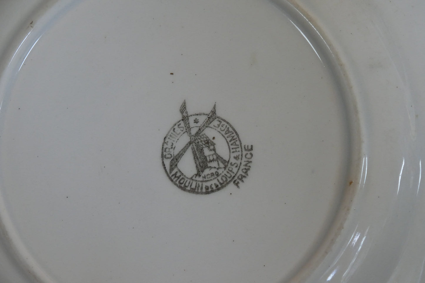 Antique Ironstone French Plate - Decorative Plate -French Ironstone Plate - Antique French Plate - Ironstone Transferware - French Decor