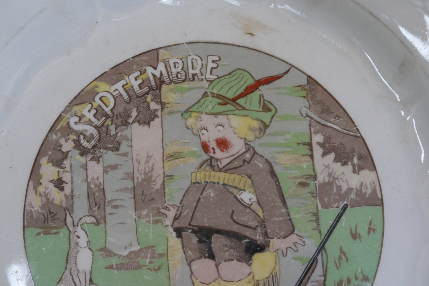Antique Ironstone French Plate - Decorative Plate -French Ironstone Plate - Antique French Plate - Ironstone Transferware - French Decor