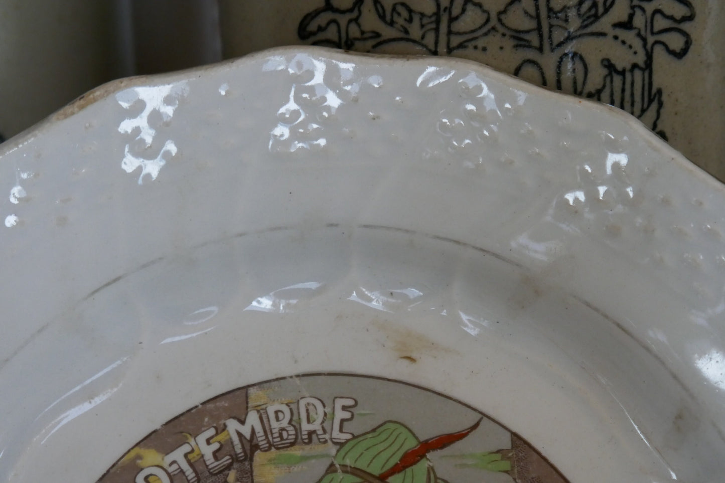 Antique Ironstone French Plate - Decorative Plate -French Ironstone Plate - Antique French Plate - Ironstone Transferware - French Decor