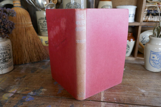 Vintage Water Babies Book - Vintage Childrens book - Vintage Water Babies - Childrens Book - Coffee Table book - Classic Childrens book