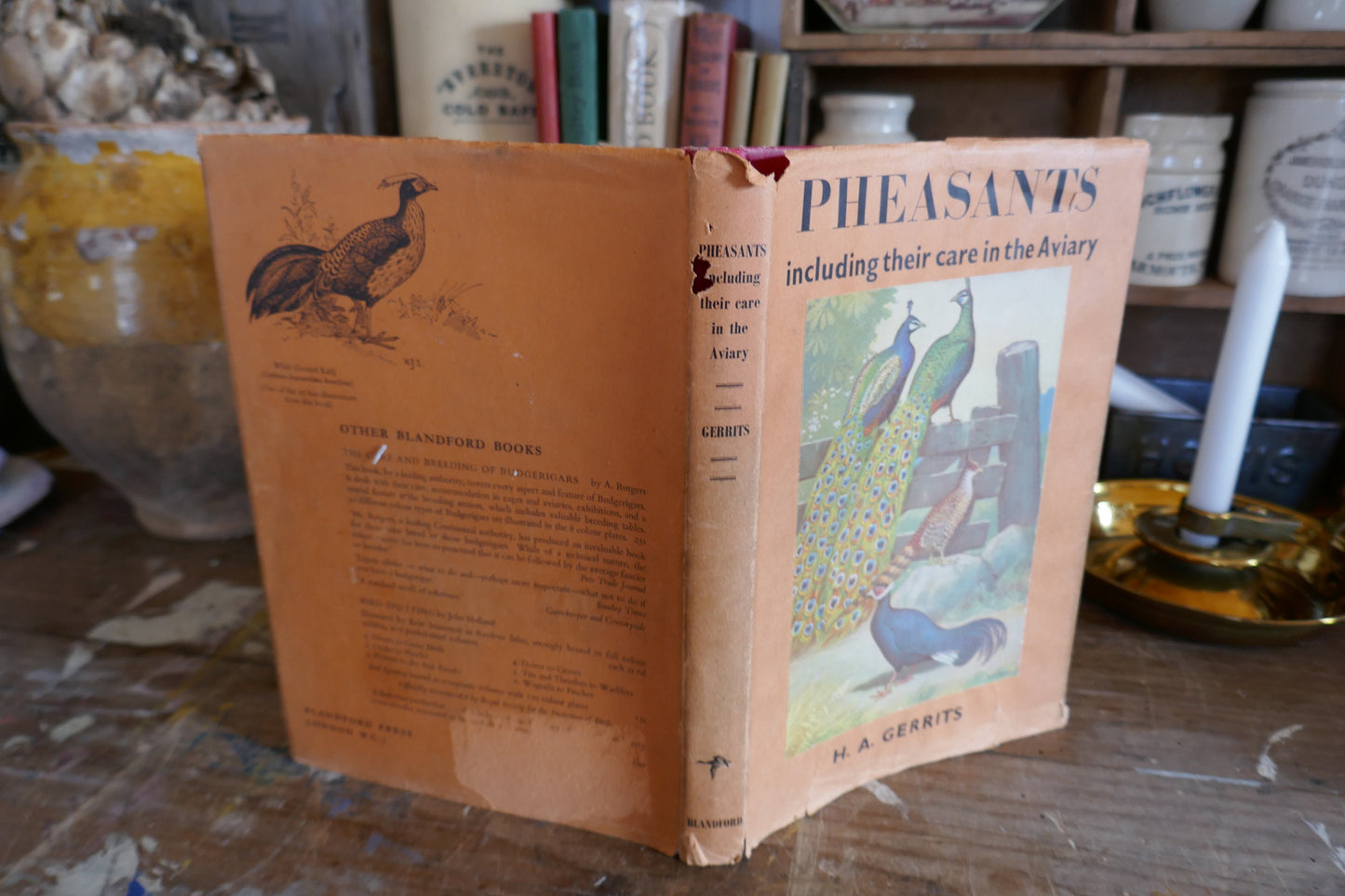 Vintage Nature Book - Bird Book - Vintage Bird book - Coffee table books - Nature Guides - English nature books - Bird Spotting Guide