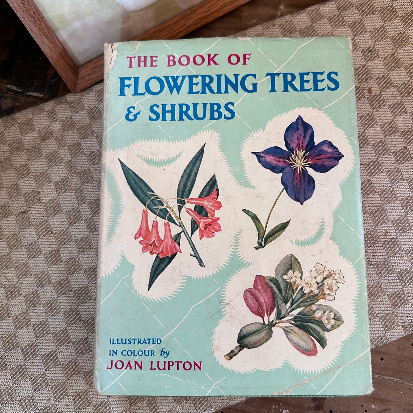 Antique Flower Book, Flower Book, Nature Book, Vintage Nature Book, plant book, Coffee table book, antique book, Antique Books, plant guide