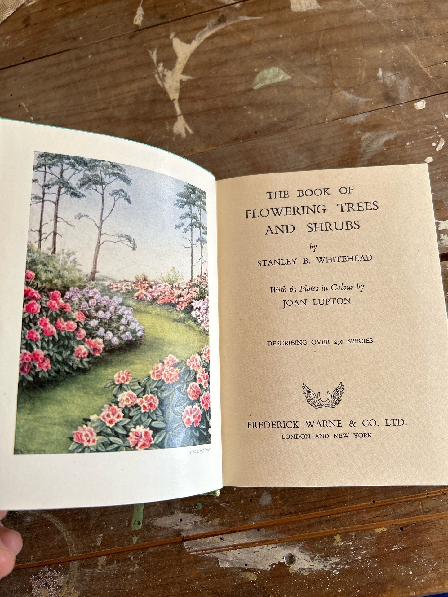 Antique Flower Book, Flower Book, Nature Book, Vintage Nature Book, plant book, Coffee table book, antique book, Antique Books, plant guide
